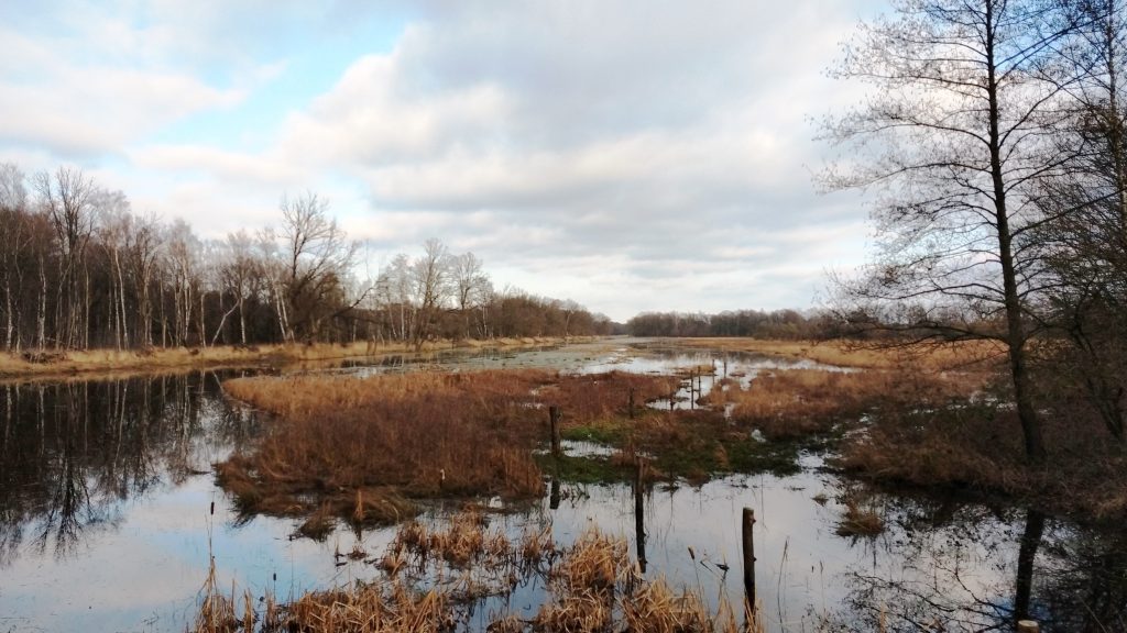 Brinksdijk op de Kampina, mooi waterland