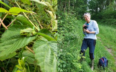 Een andere blik op natuur