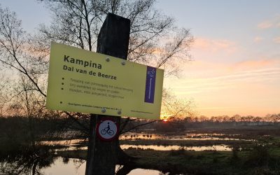 Geheim van de vogelaar